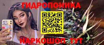 крисы Рузаевка