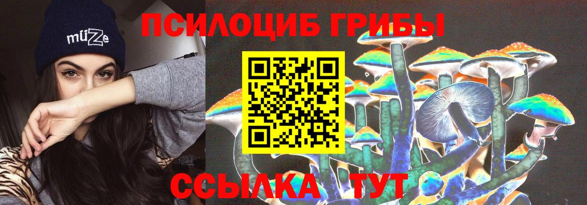 Галлюциногенные грибы Psilocybine cubensis  Вход с VPN  Орехово-Зуево  Псилоцибиновые грибы Psilocybine cubensis 